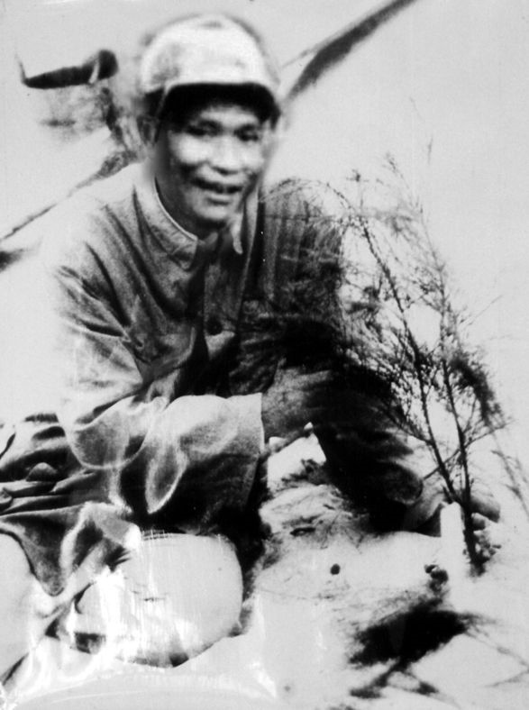 谷文昌與試種成活的木麻黃（資料照片）。為了治沙，谷文昌爬遍了東山縣400多個山頭，踏遍了30多公里的沙灘，終于帶領東山人民試種木麻黃成功。