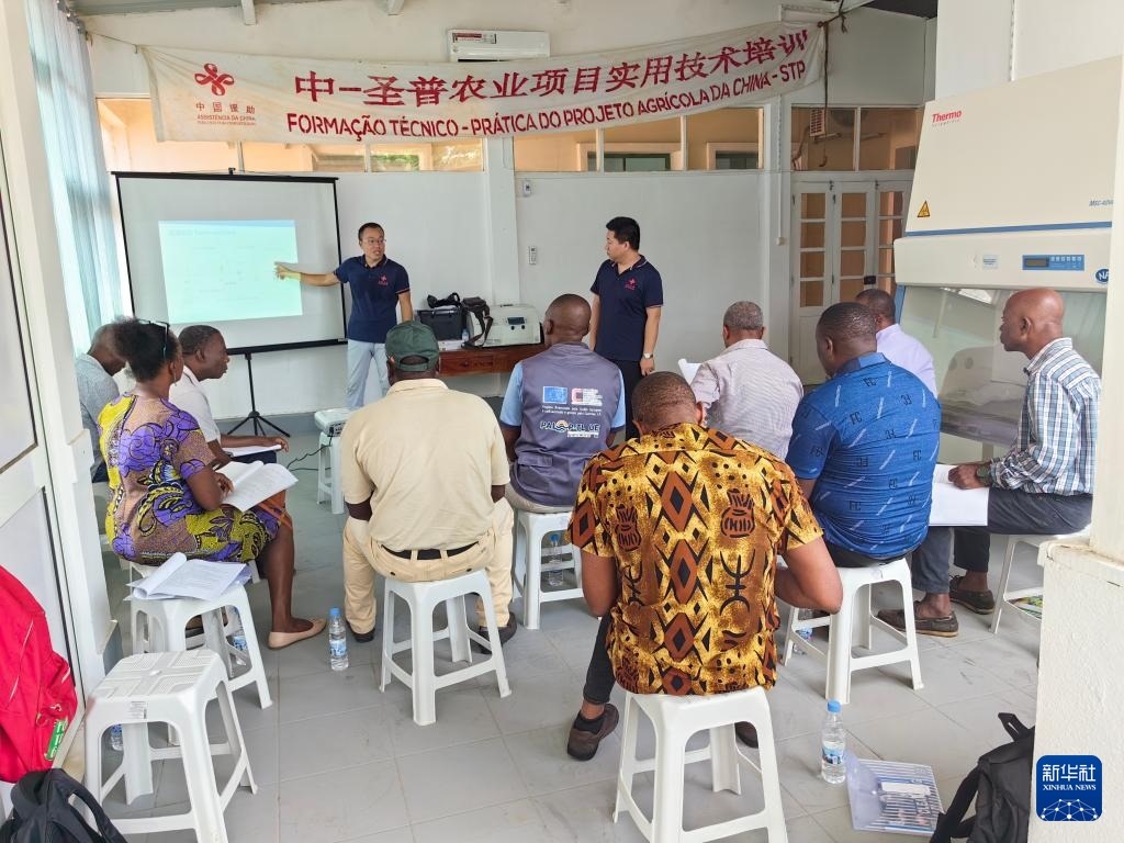 中國援圣普農(nóng)牧業(yè)技術(shù)項(xiàng)目組專家段振華（后左）在圣多美和普林西比的國家獸醫(yī)實(shí)驗(yàn)室開展動(dòng)物疫病監(jiān)測(cè)技術(shù)培訓(xùn)（2024年6月21日攝）。新華社發(fā)（中國援圣普農(nóng)技組供圖）