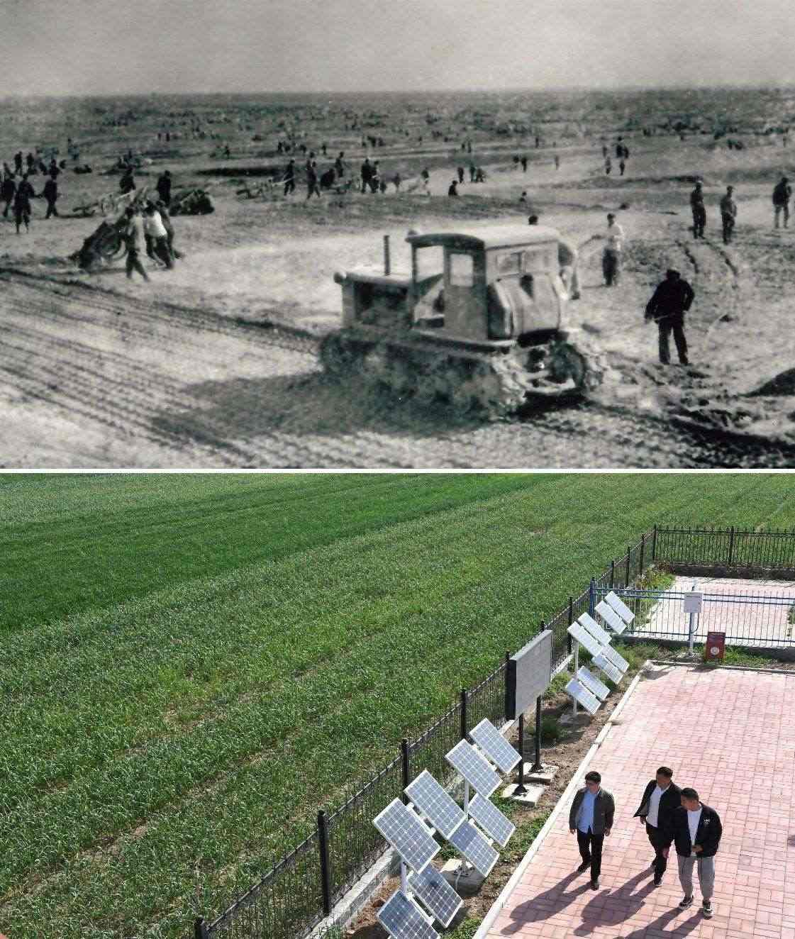 上圖為二十世紀(jì)六十年代蘭考改造鹽堿地的情景（資料照片）；下圖為2024年4月18日拍攝的蘭考縣紅廟鎮(zhèn)高標(biāo)準(zhǔn)農(nóng)田示范區(qū)。（新華社記者 朱祥 攝）