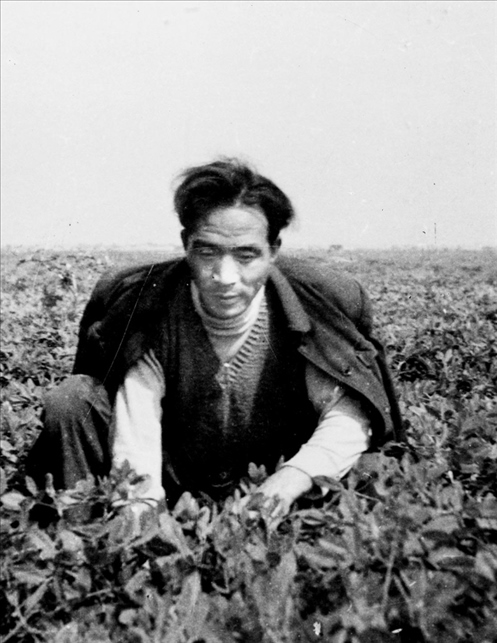 在蘭考期間，焦裕祿在田間勞動(dòng)的情景。