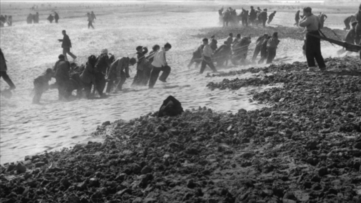 蘭考群眾在拉淤土壓沙。（新華社記者 鄧歷耕 攝）