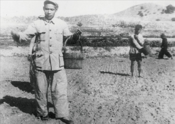 △ 谷文昌在福建省東山縣坑北村參加播種。