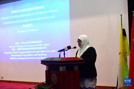 10月26日，文萊初級(jí)資源與旅游部常任秘書圖蒂亞蒂在斯里巴加灣市出席中國與文萊雜交水稻高級(jí)專家顧問項(xiàng)目啟動(dòng)儀式。新華社記者 李萌 攝
