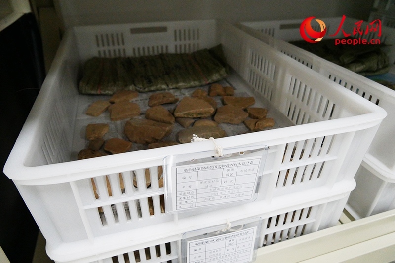 已經(jīng)整理完畢的文物標(biāo)本。人民網(wǎng)記者 韋衍行攝