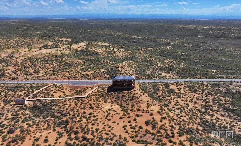 古浪縣一代代人治沙不息，讓綠色向沙漠深處不斷延伸（央廣網(wǎng)記者 李紅軍 攝）