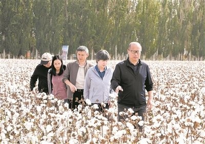 李召虎團隊成員在棉田了解試驗情況。 受訪單位供圖