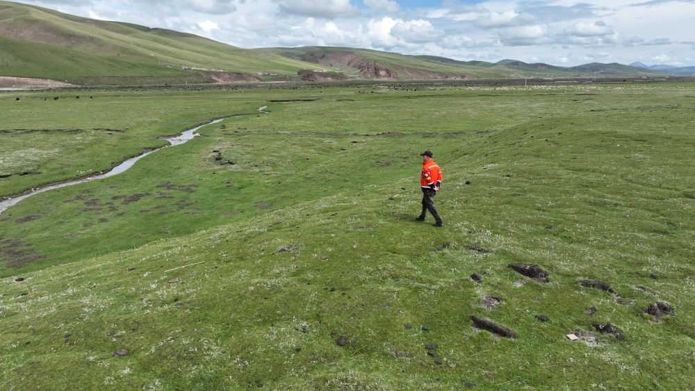 9月24日，生態(tài)管護(hù)員那瓦才郎在草場上巡護(hù)。（受訪者供圖）