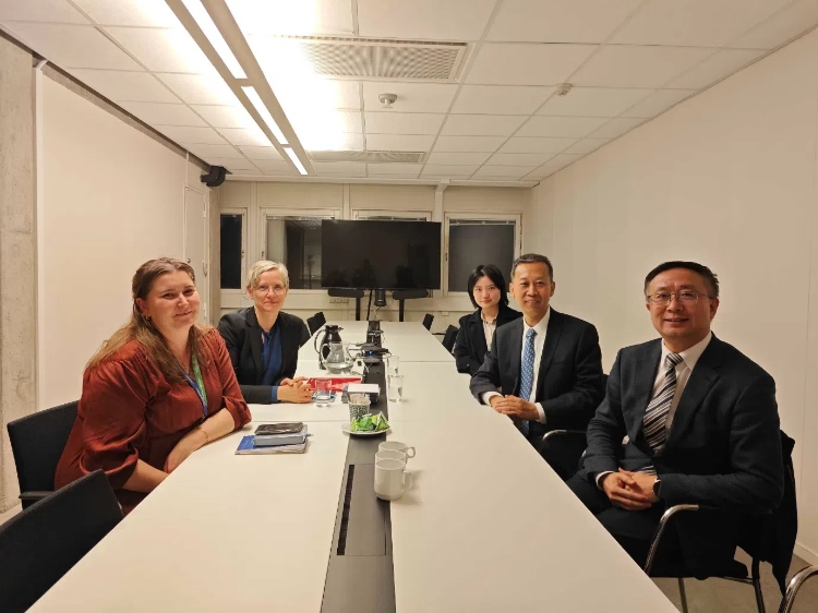 中國駐瑞典大使崔愛民會見瑞典聯(lián)合國教科文組織全國委員會秘書長。中國駐瑞典大使館供圖