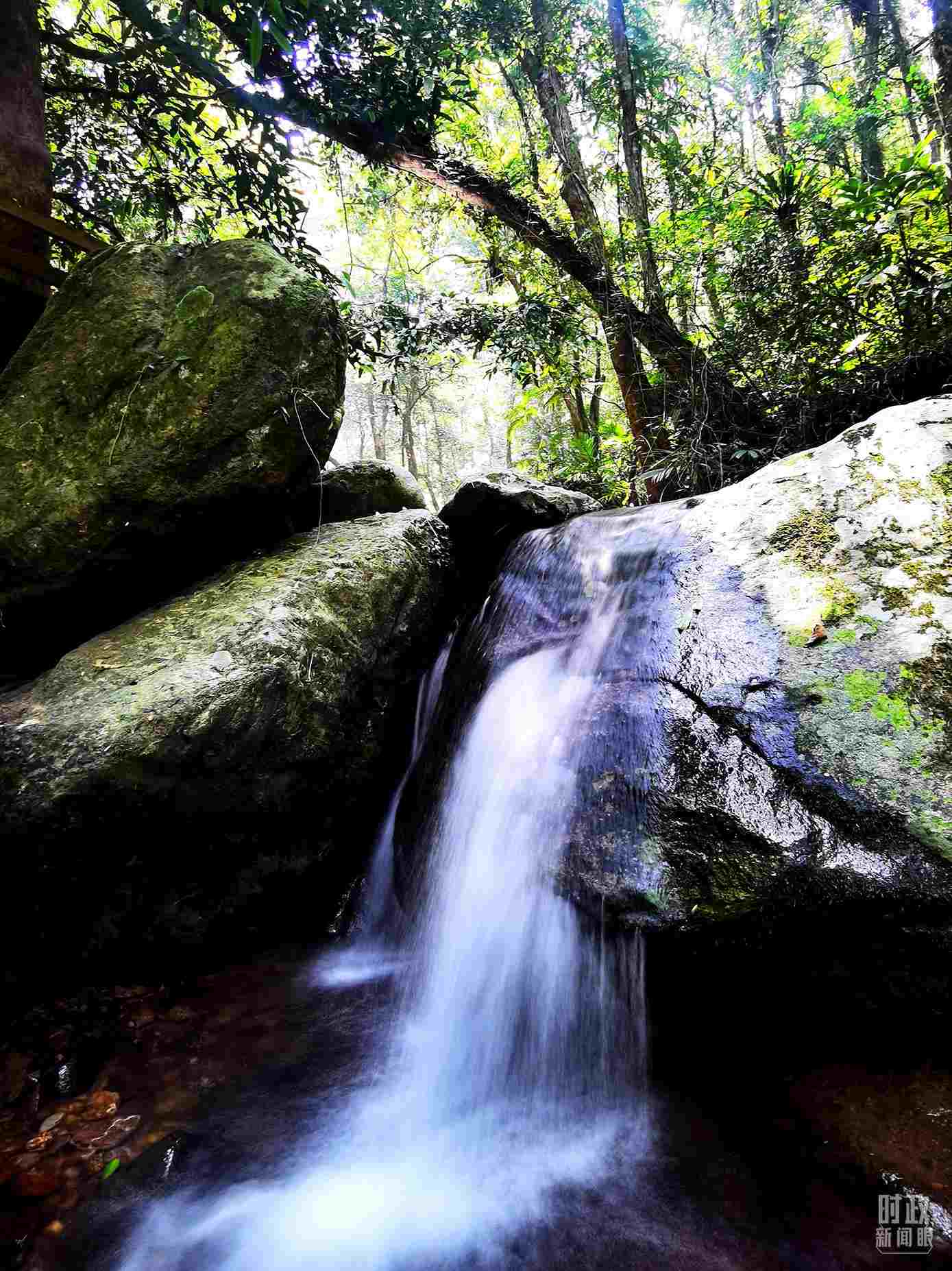 海南五指山。（總臺(tái)央視記者劉琦拍攝）