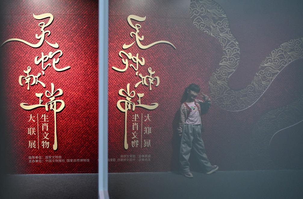 1月18日，一名小朋友在國家自然博物館舉辦的“靈蛇獻(xiàn)瑞——2025乙巳蛇年生肖文物大聯(lián)展”展覽中拍照留念。（新華社記者 陳鐘昊 攝）