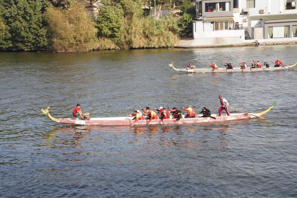 活動(dòng)現(xiàn)場龍舟競技，共慶春節(jié)。開羅中國文化中心供圖