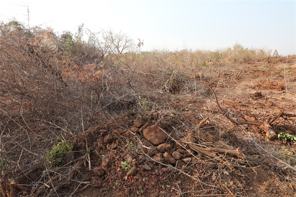 施工現(xiàn)場。張曉昆攝