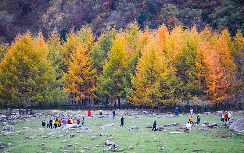 2023年10月27日，深秋時(shí)節(jié)的陜西秦嶺太子嶺五彩斑斕，進(jìn)入最佳觀賞期。