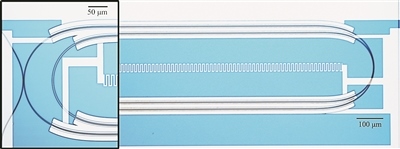 微波光量子傳感器的光學(xué)顯微照片。圖片來源：美國哈佛大學(xué)