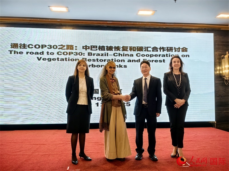 中國(guó)國(guó)家林業(yè)和草原局副局長(zhǎng)李云卿（右二）、巴西環(huán)境和氣候變化部部長(zhǎng)瑪麗娜·席爾瓦（左二）、巴西財(cái)政部副部長(zhǎng)羅熙丹（右一）、巴西駐華大使館公參樂美（左一）出席“通往COP30之路：中巴植樹造林和碳匯合作研討活動(dòng)”。人民網(wǎng)記者 符園園攝