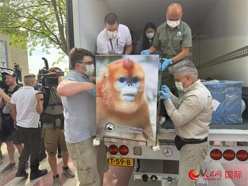 圖為活動現(xiàn)場。人民網(wǎng)記者 牛瑞飛攝