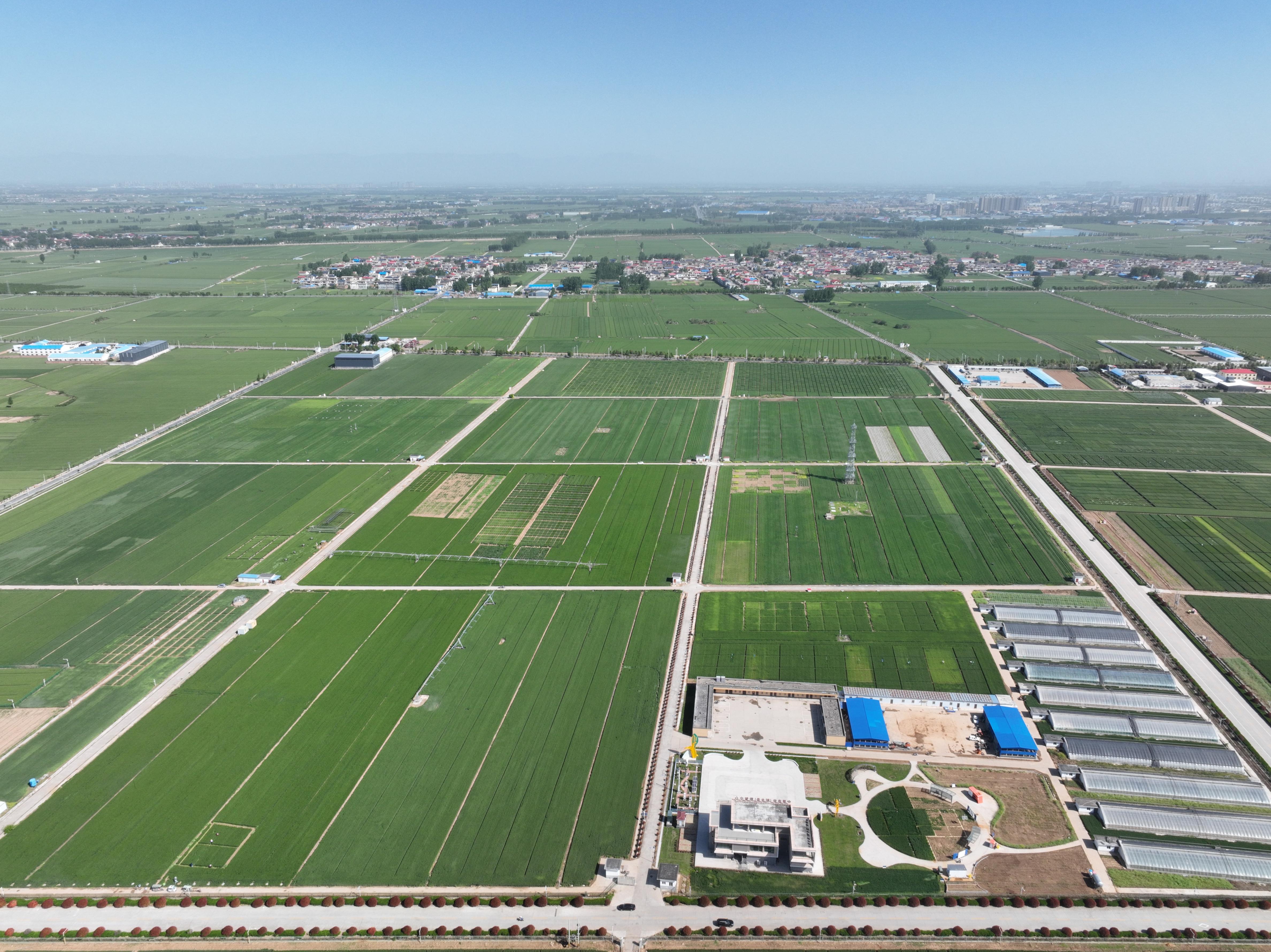 俯瞰水利部灌溉試驗總站試驗研究基地。受訪者供圖