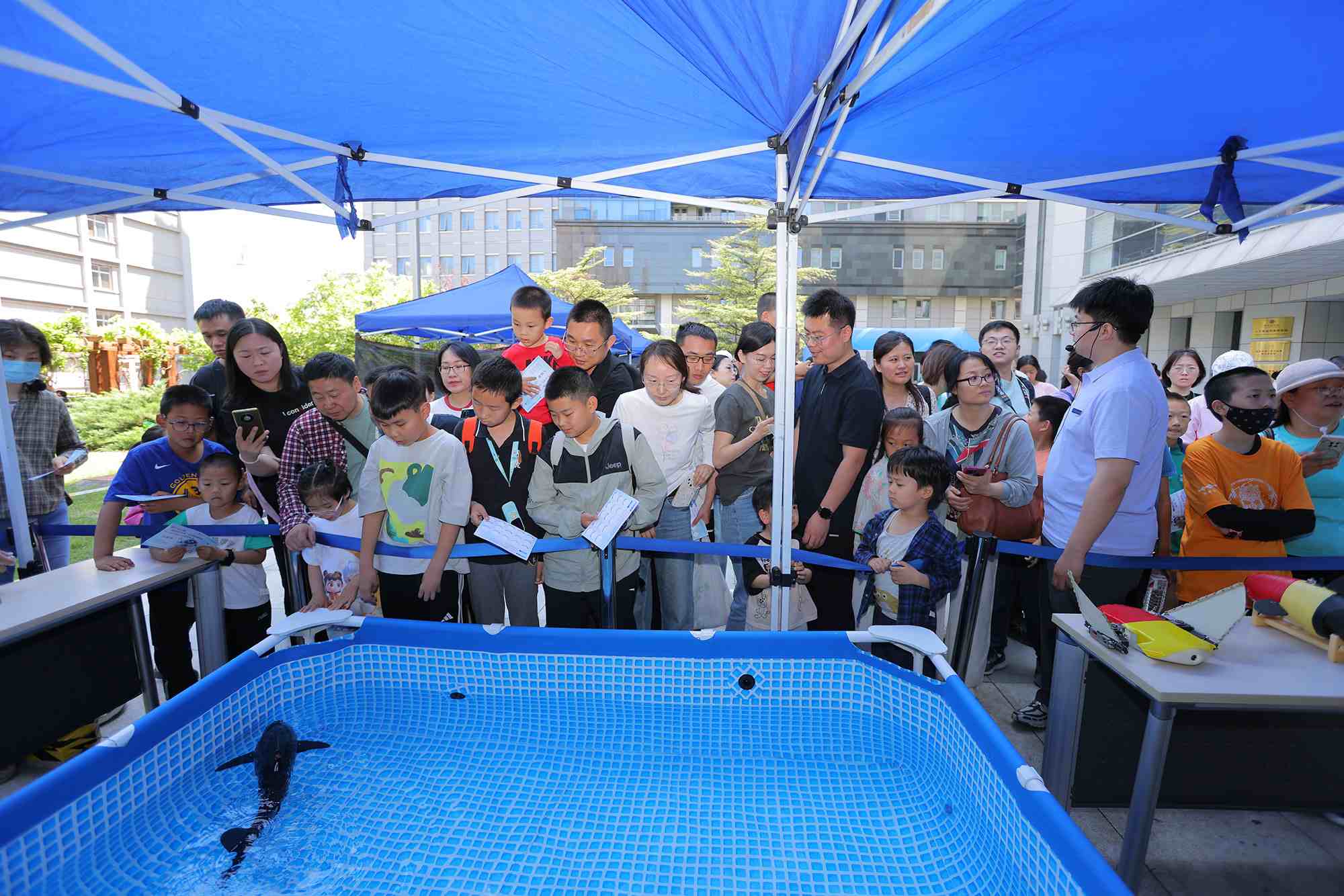 水下仿生機器魚在活動現(xiàn)場大受歡迎。中國科學(xué)院自動化研究所供圖